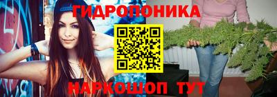 спайс Гусь-Хрустальный